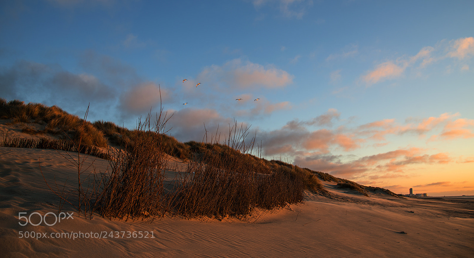 Nikon D800 sample photo. Last sunlight photography