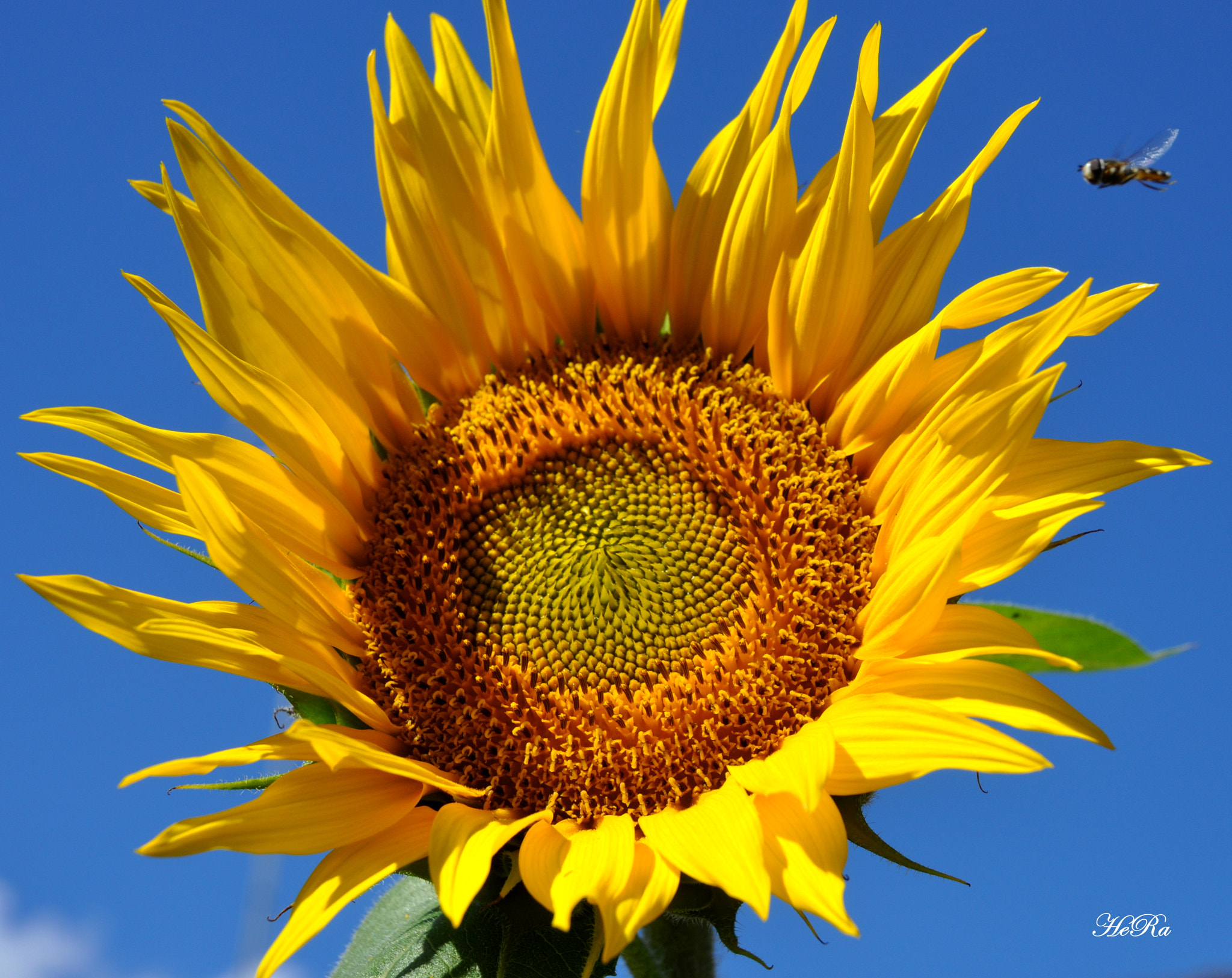 Nikon D90 sample photo. Waiting for summer photography