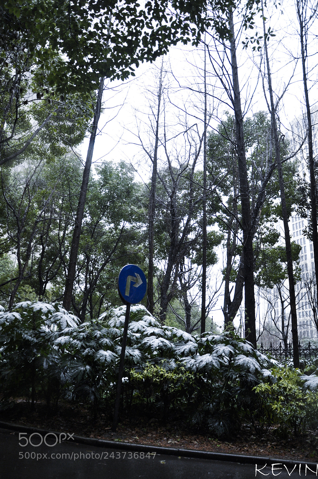 Nikon D90 sample photo. Shanghai's snow photography