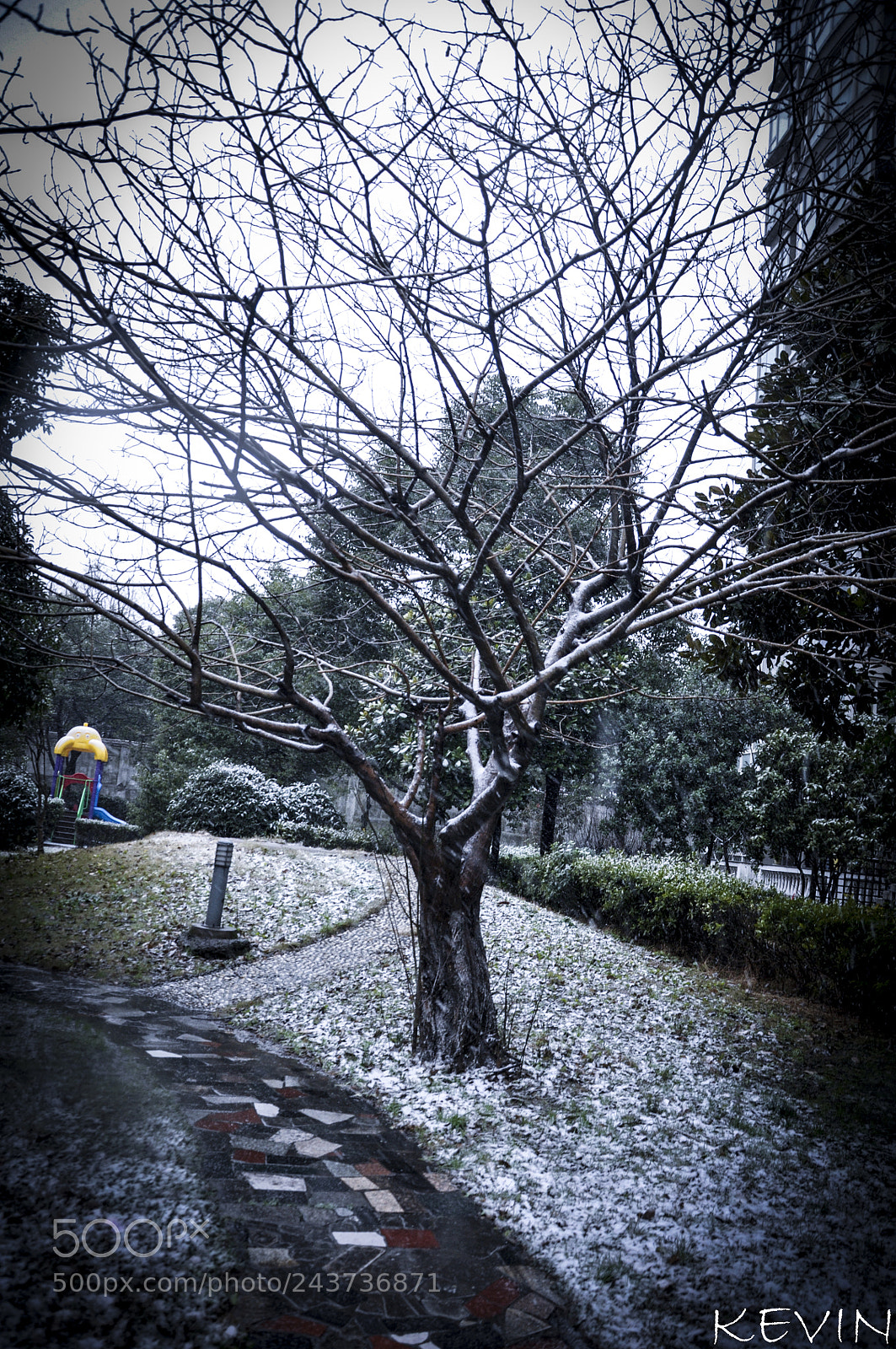 Nikon D90 sample photo. Shanghai's snow photography
