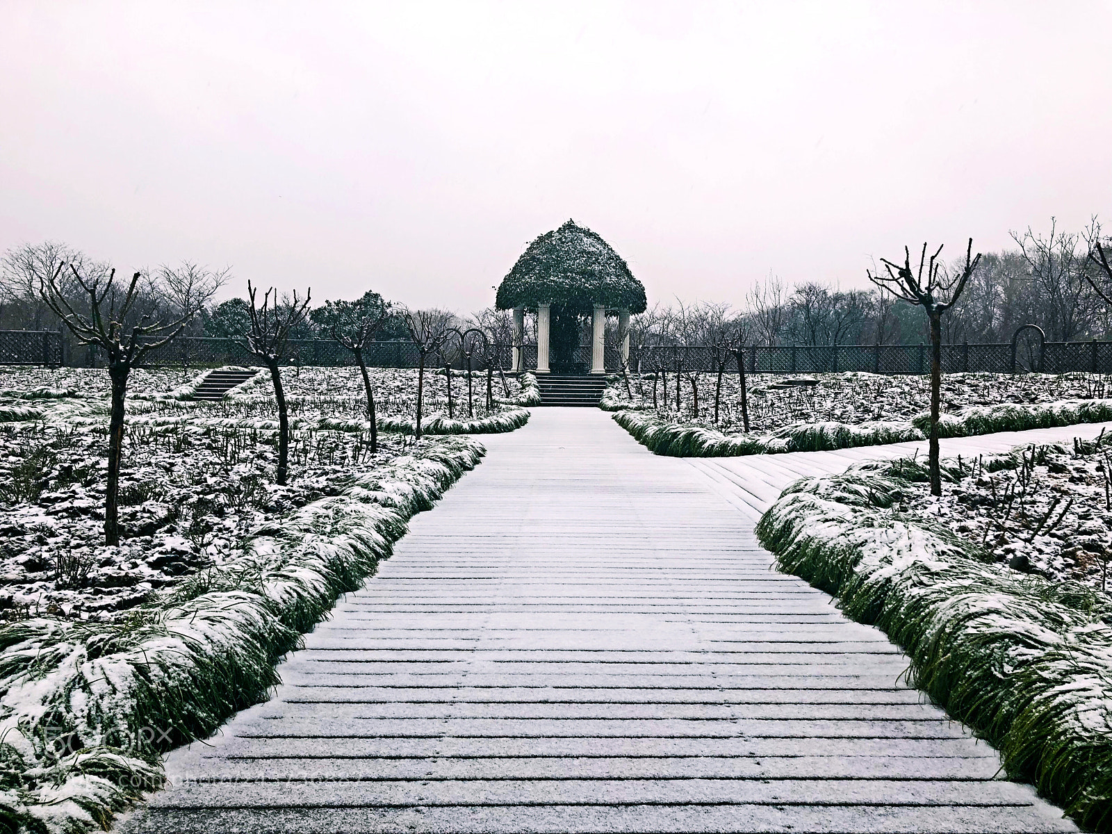 Apple iPhone X sample photo. 白雪皑皑 photography