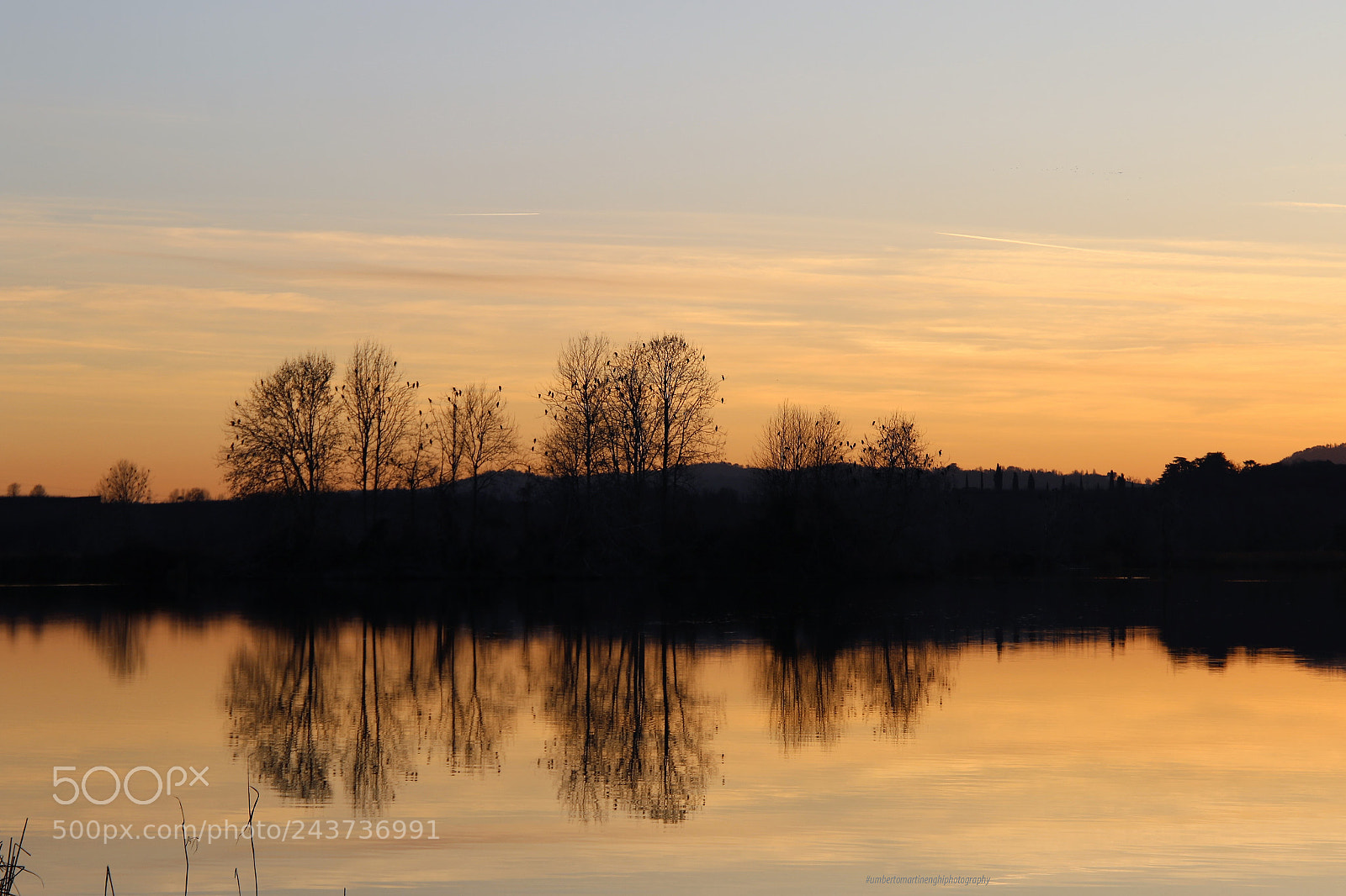 Canon EOS 7D Mark II sample photo. Nature 2 photography