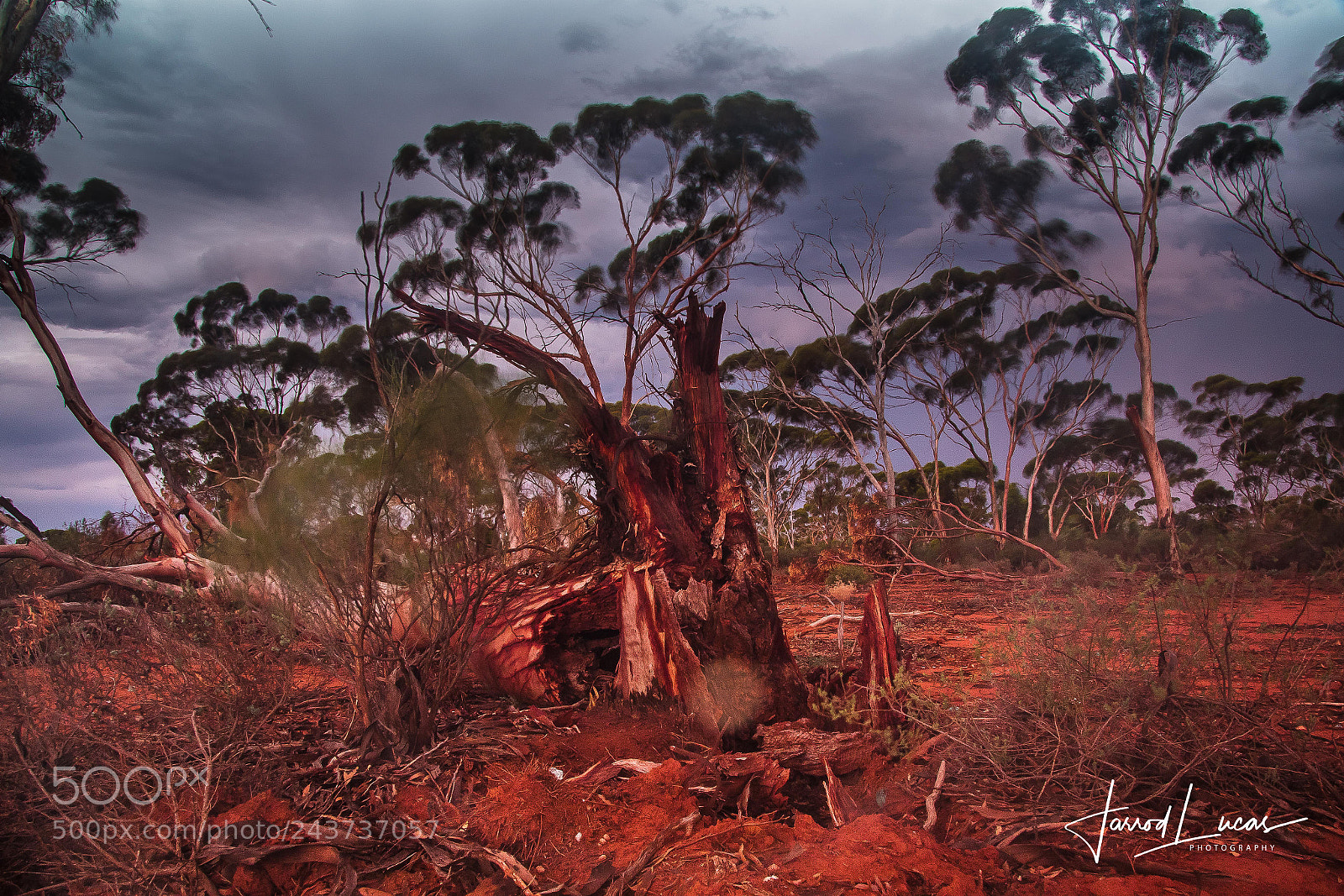 Canon EOS 7D Mark II sample photo. Kalgoorlie landscapes photography