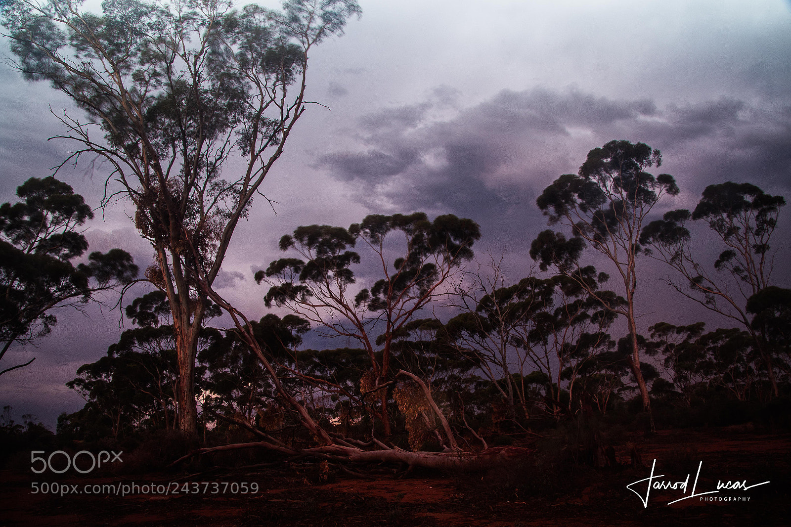 Canon EOS 7D Mark II sample photo. Kalgoorlie landscapes photography