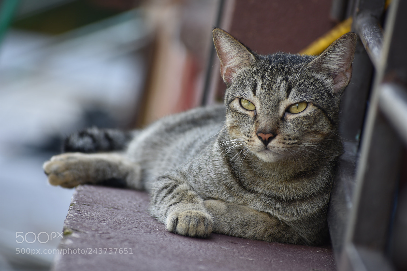 Nikon D3400 sample photo. Untitled photography