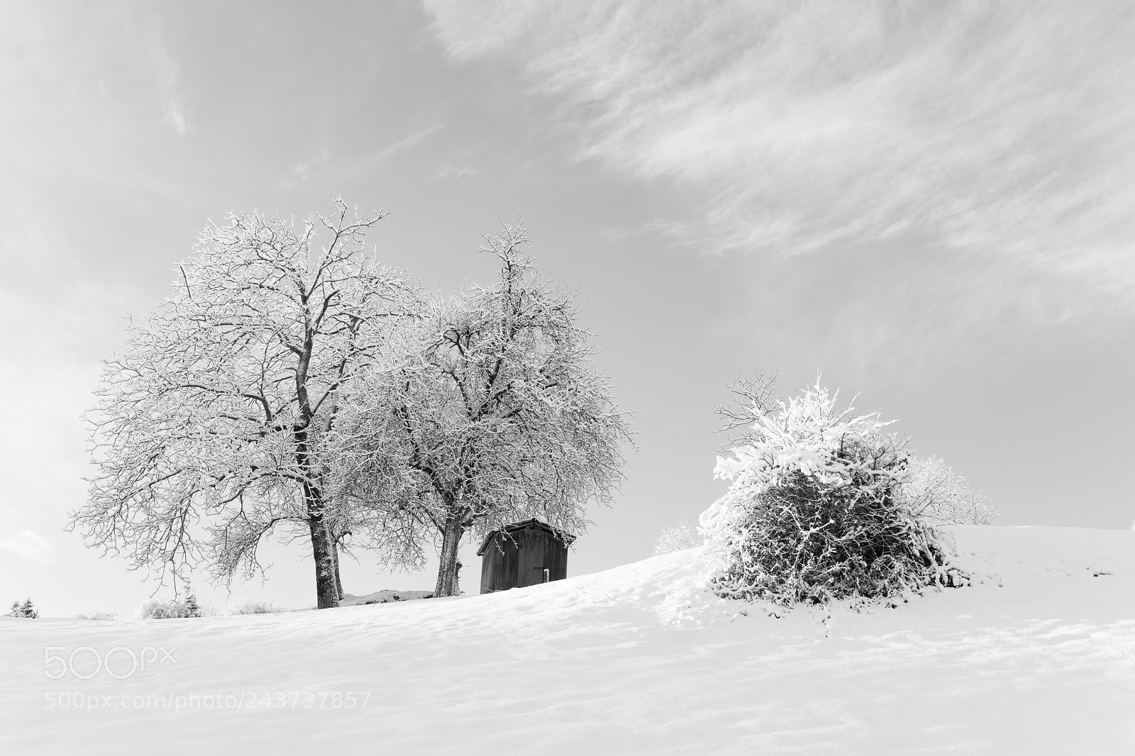 Nikon D500 sample photo. Winter idyll photography