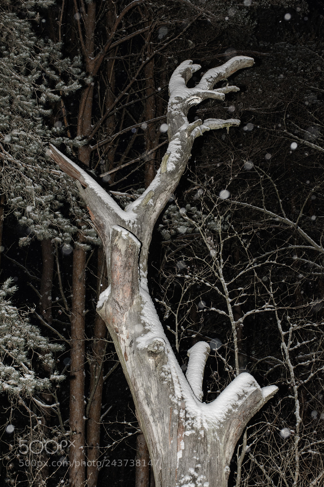 Nikon D7100 sample photo. The hard fate photography