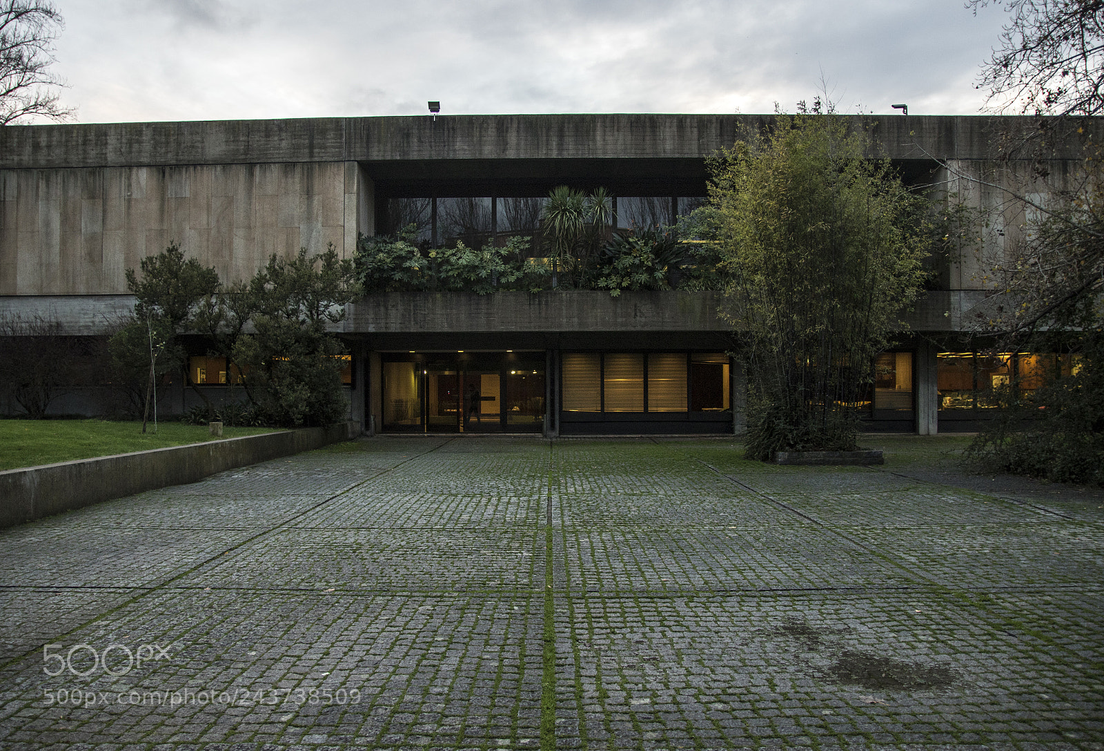 Canon EOS 7D Mark II sample photo. Gulbenkian garden photography