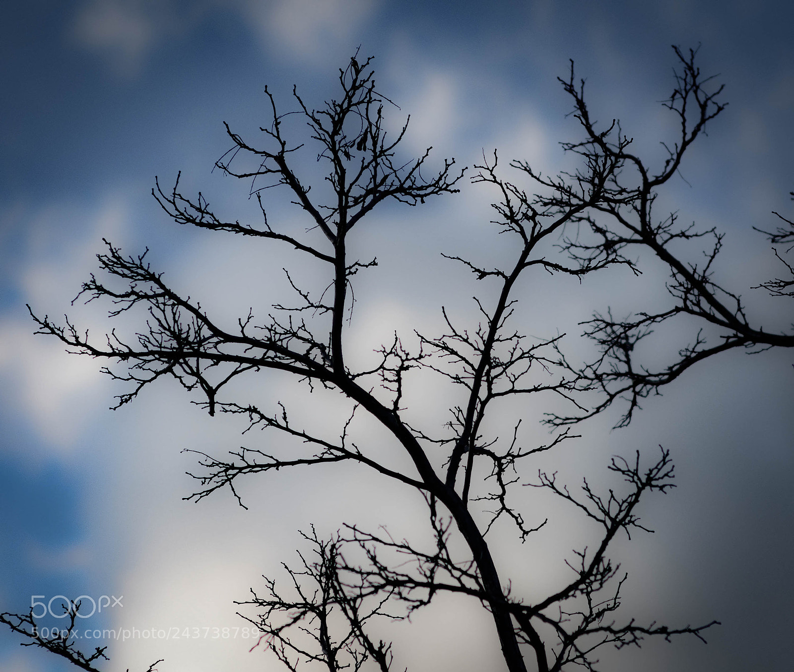 Nikon D7100 sample photo. Winter scene photography