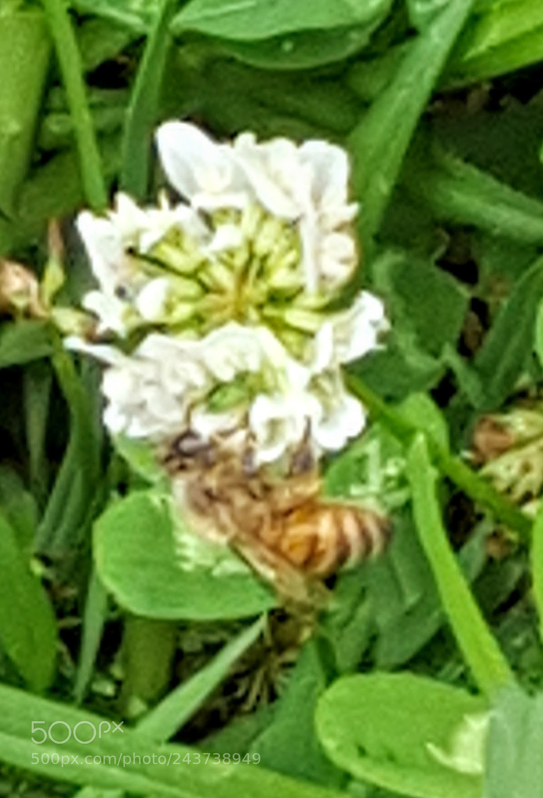 Samsung Galaxy S6 sample photo. Untitled photography