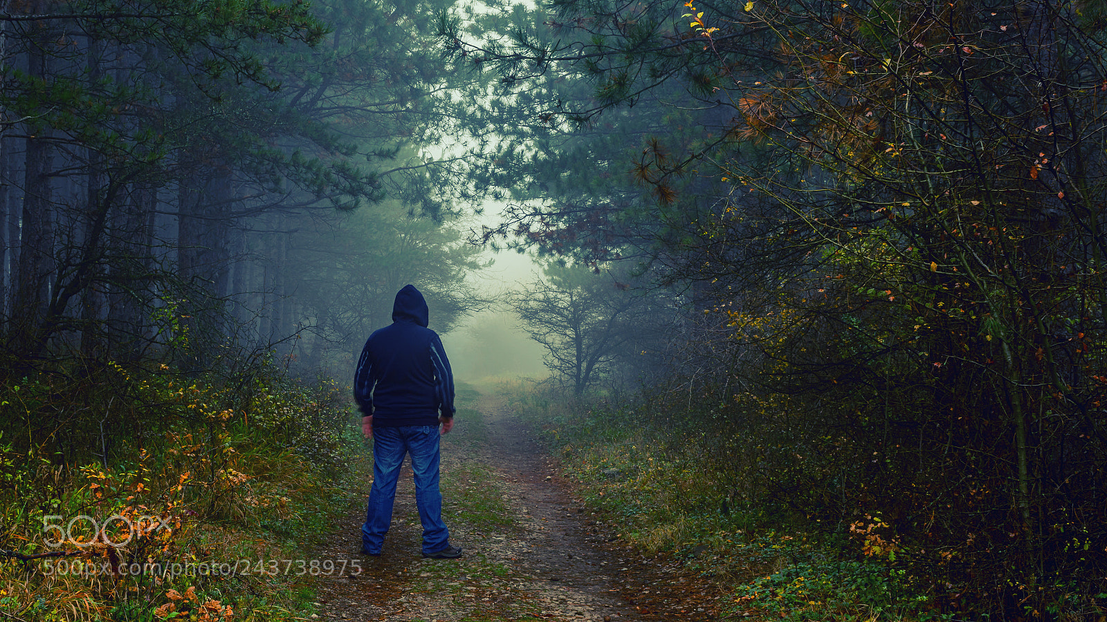 Nikon D7200 sample photo. Foggy autumn walk photography