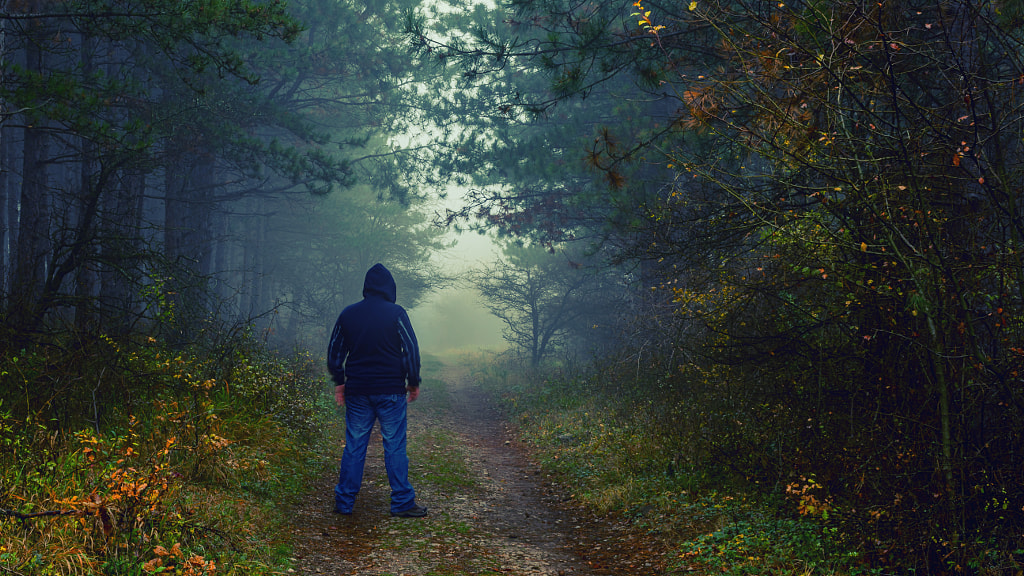 Foggy autumn walk by Milen Mladenov on 500px.com