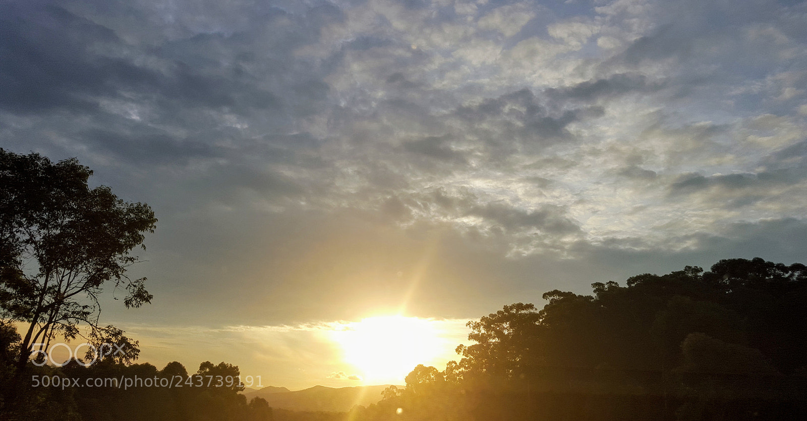 Samsung Galaxy S6 sample photo. Untitled photography
