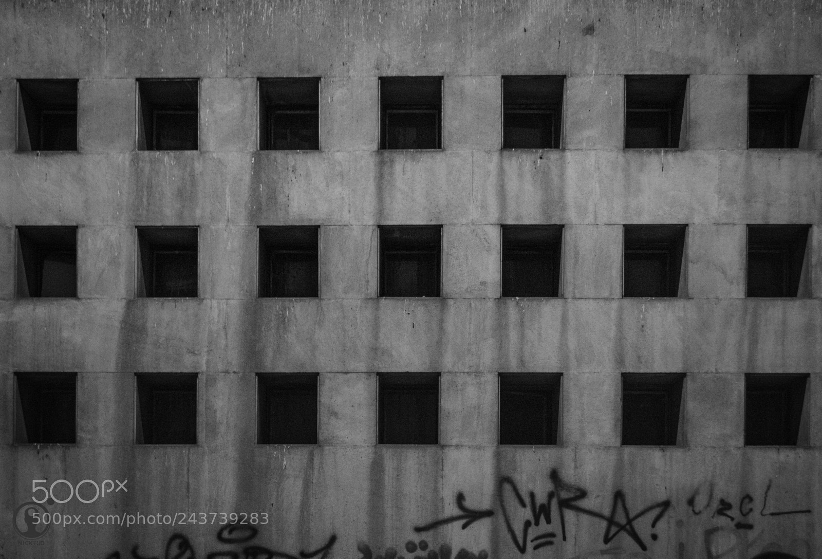Nikon D3100 sample photo. Life in the city photography
