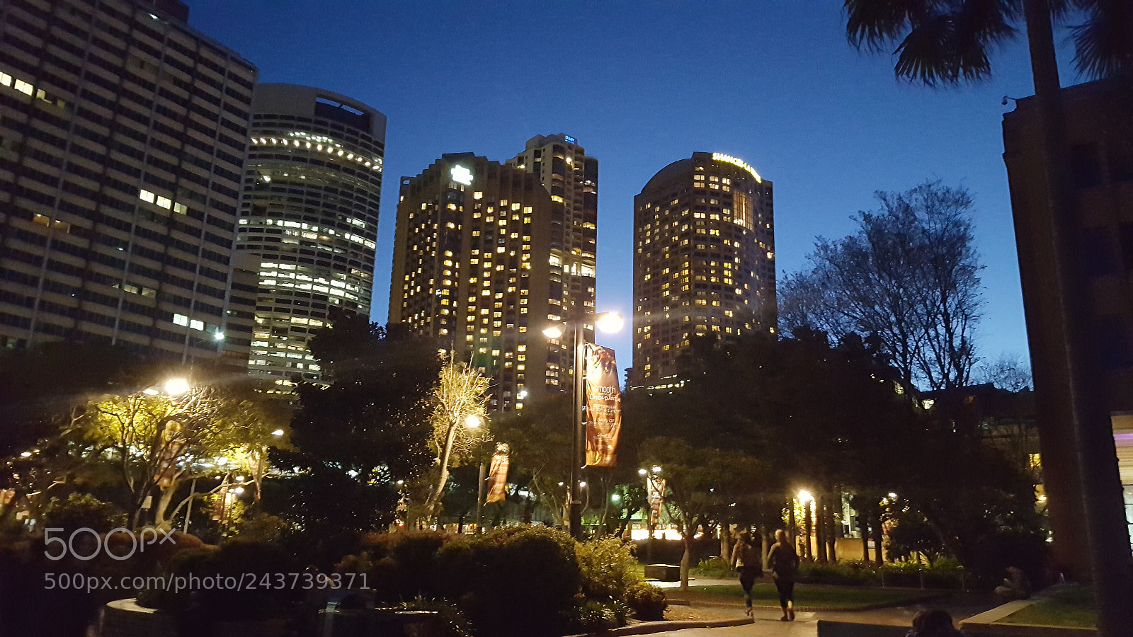Samsung Galaxy S6 sample photo. Untitled photography