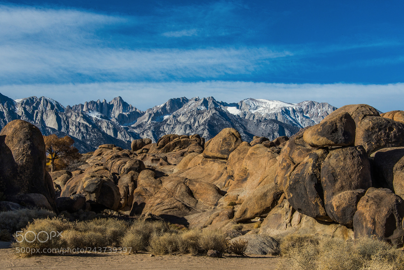 Nikon D600 sample photo. Bonanza photography