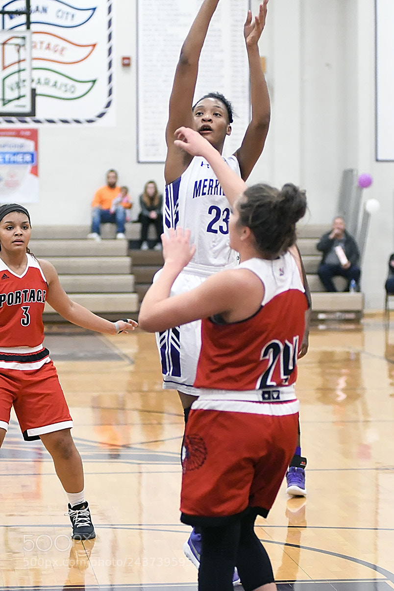 Nikon D500 sample photo. 1-20_0494.jpg photography