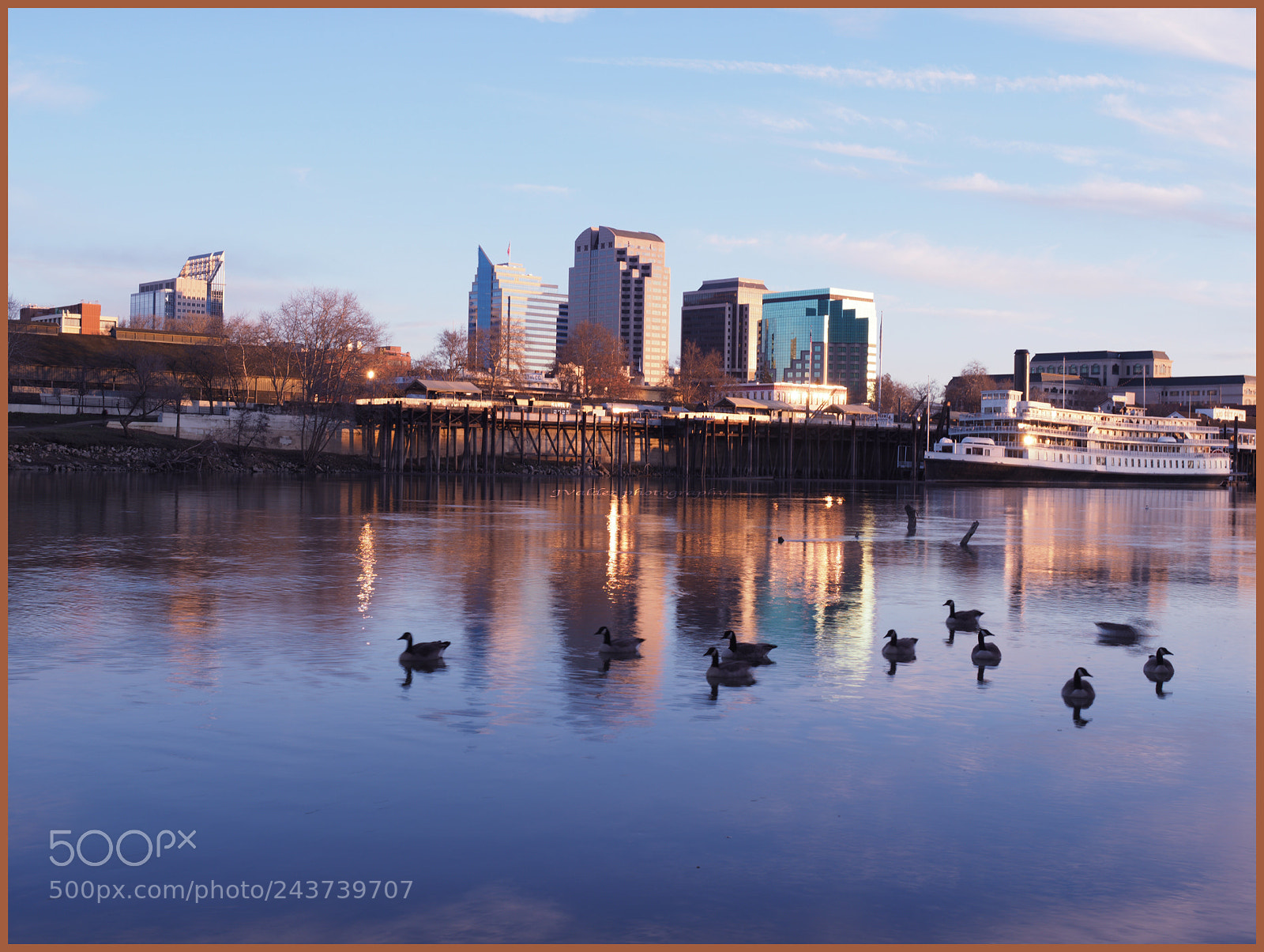Olympus OM-D E-M1 Mark II sample photo. The geese enjoying sunset photography