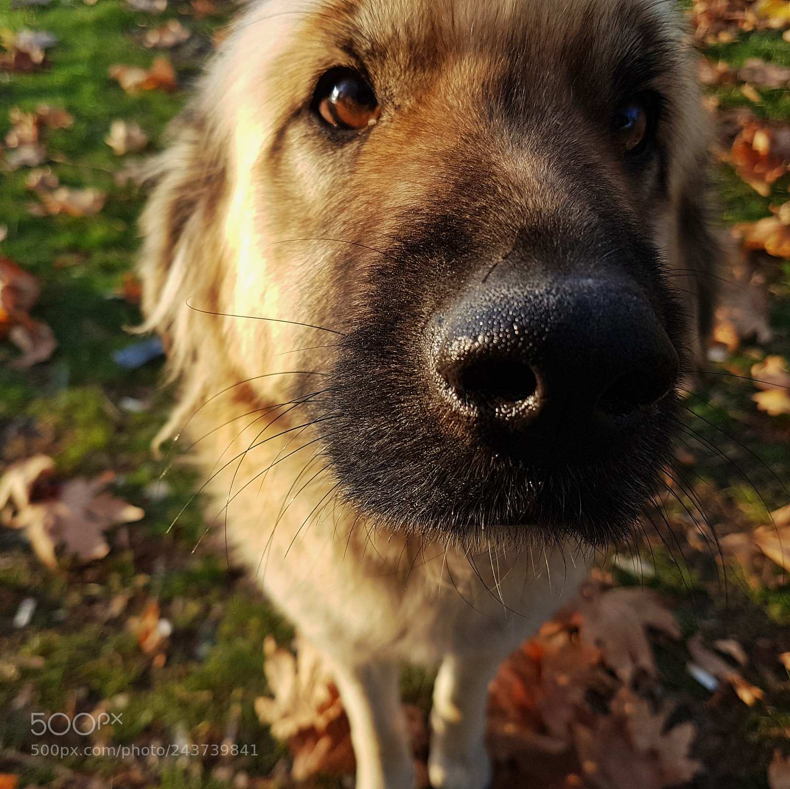 Samsung Galaxy S7 Edge sample photo. Untitled photography