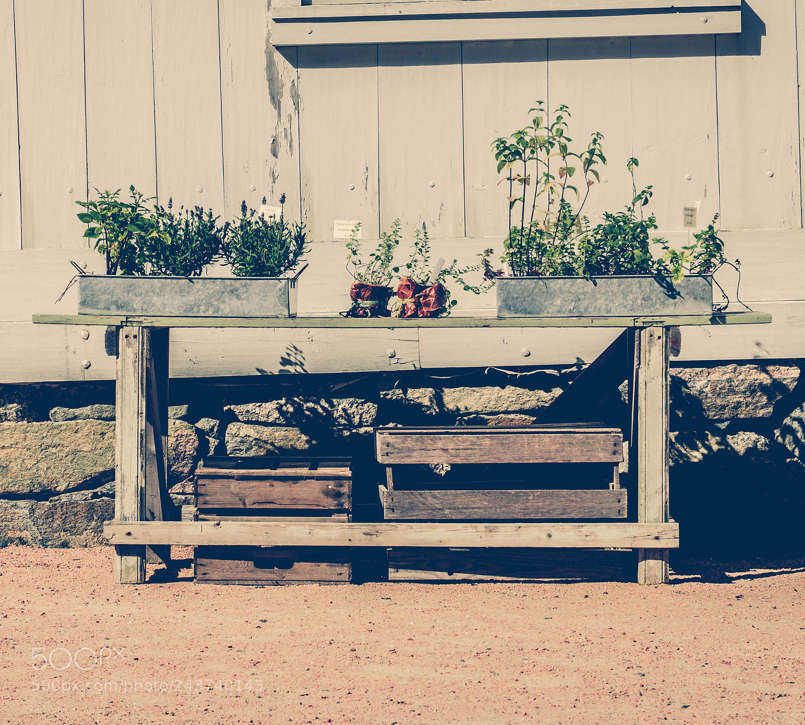 Sony a5100 sample photo. Bench photography