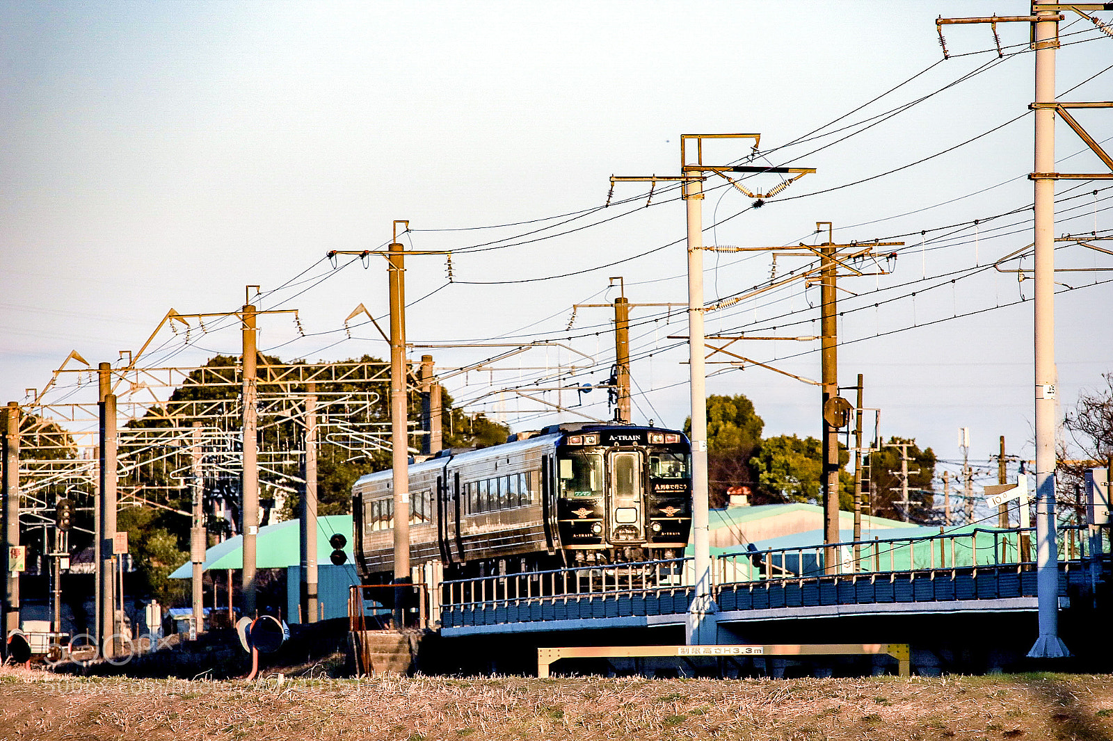 Canon EOS 6D Mark II sample photo. Untitled photography