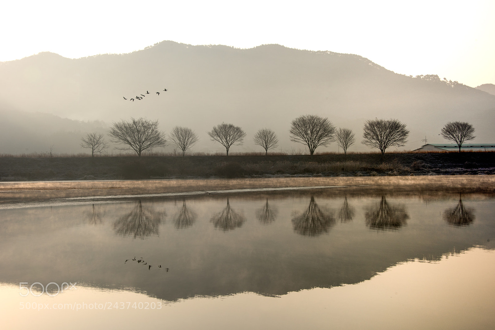 Nikon D810 sample photo. Winter at river photography