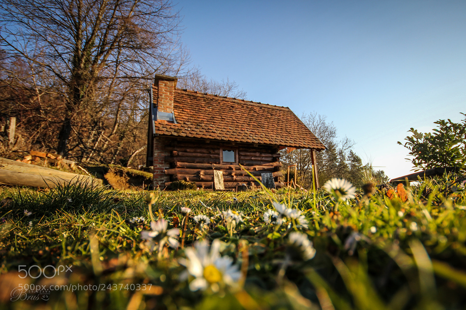 Canon EOS 550D (EOS Rebel T2i / EOS Kiss X4) sample photo. Cottage among daisies <3 photography