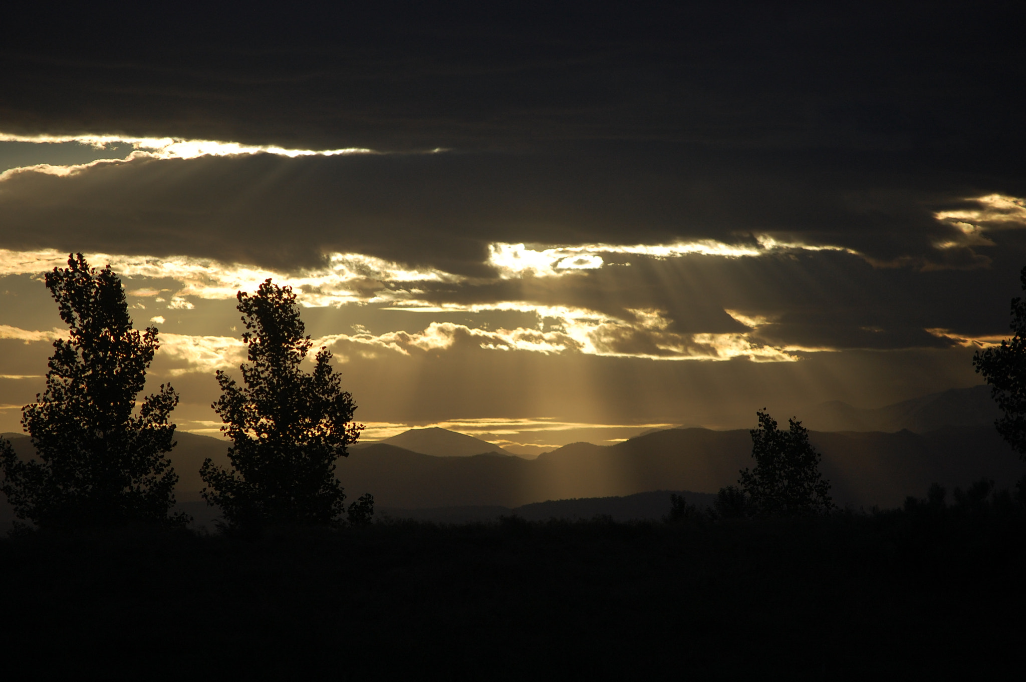 Nikon D40 sample photo. Hide and seek photography