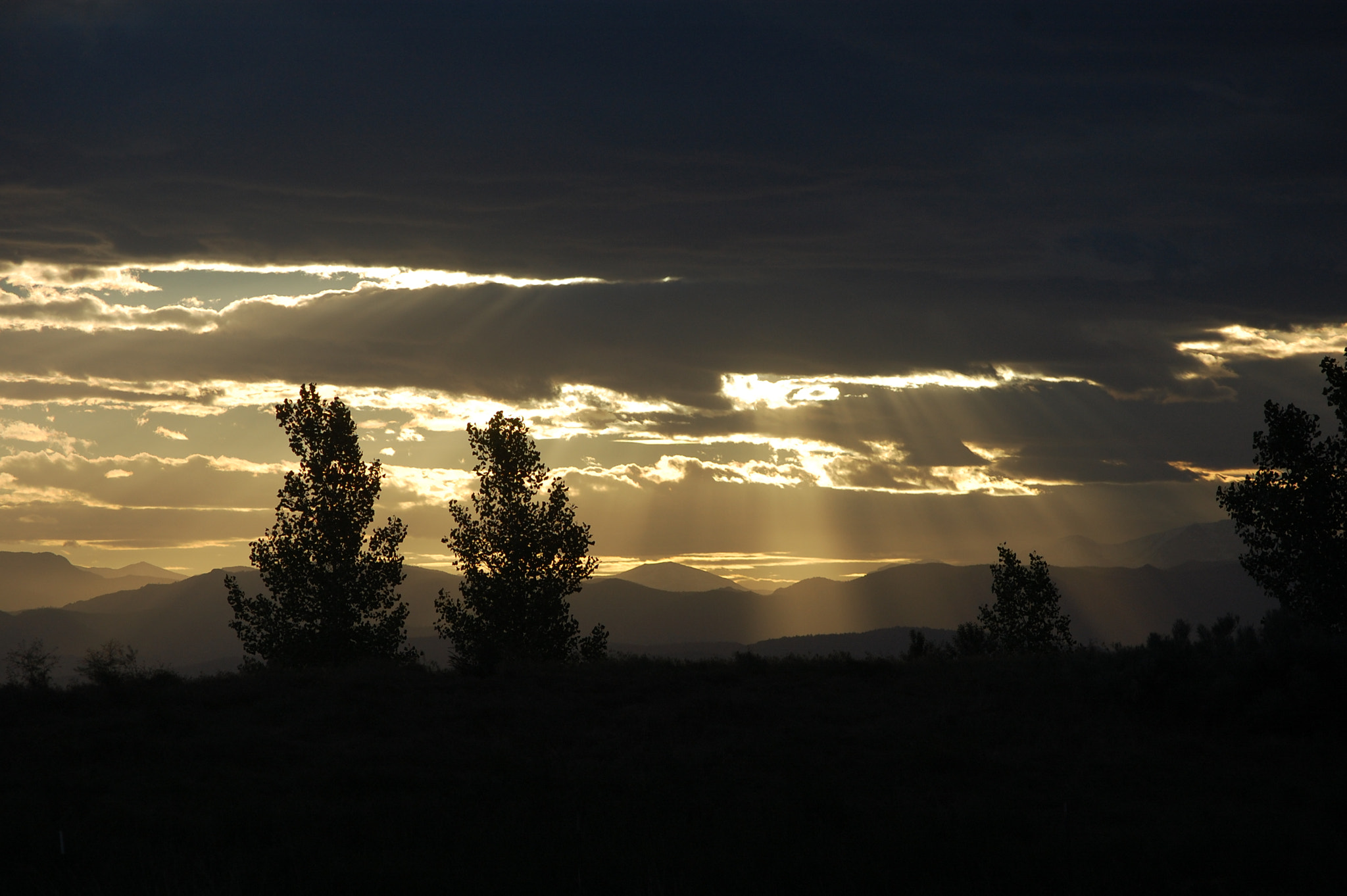 Nikon D40 sample photo. Hide and seek photography