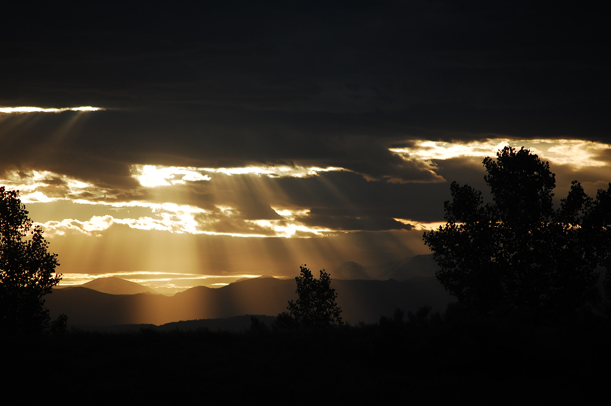 Nikon D40 sample photo. Hide and seek photography