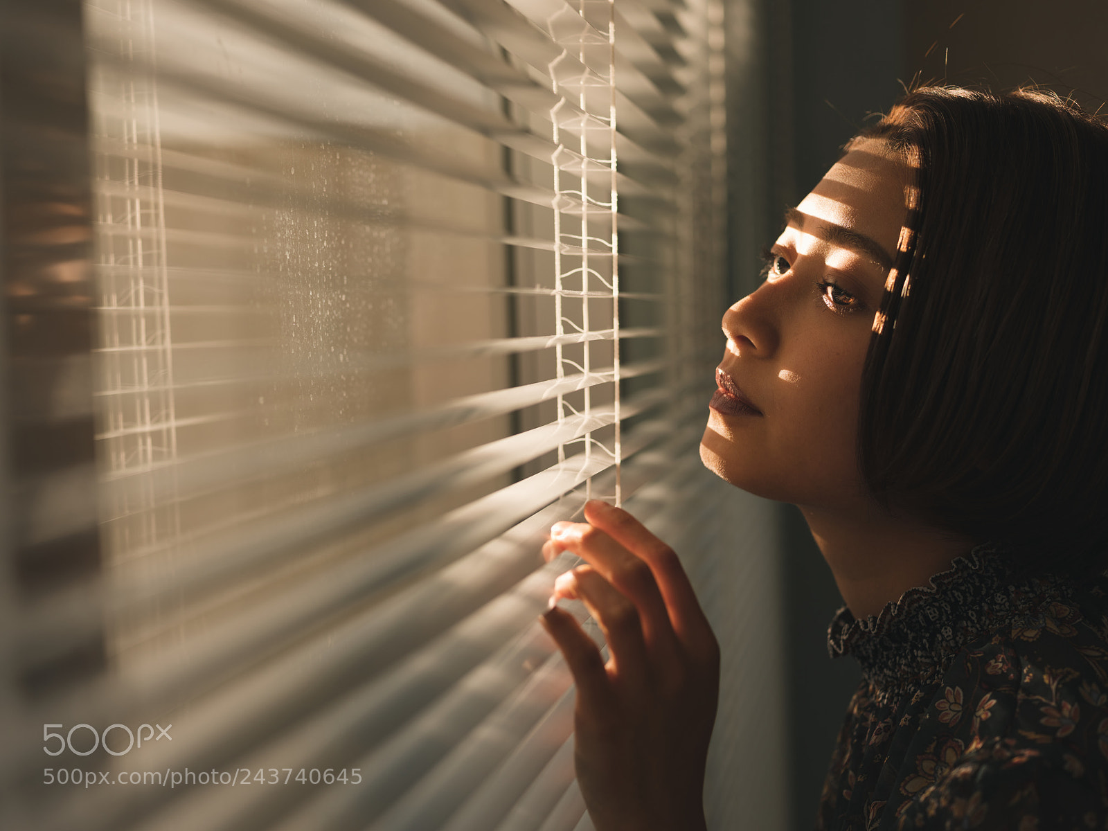 Fujifilm GFX 50S sample photo. Cce photography