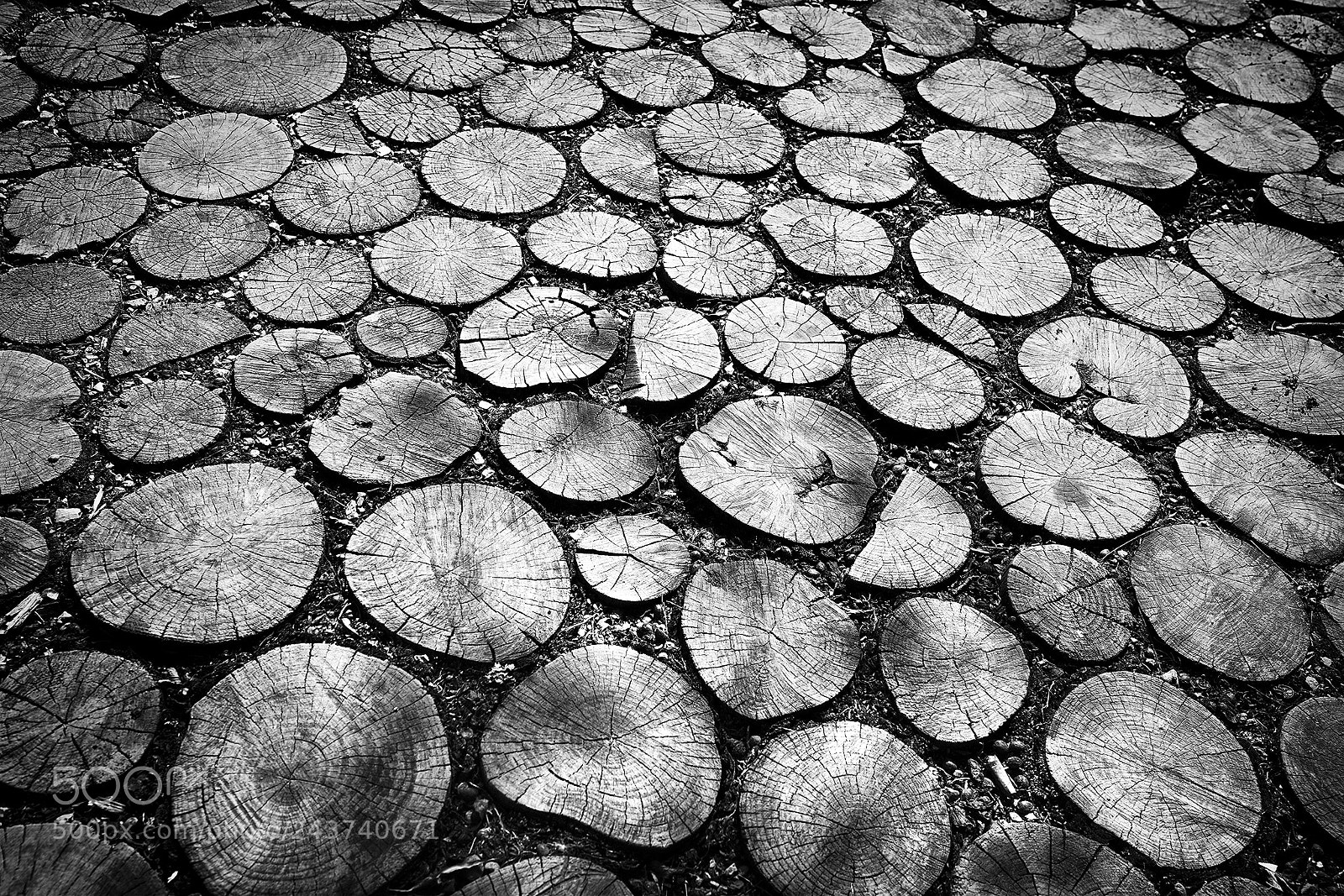 Sony a7R II sample photo. Texture photography