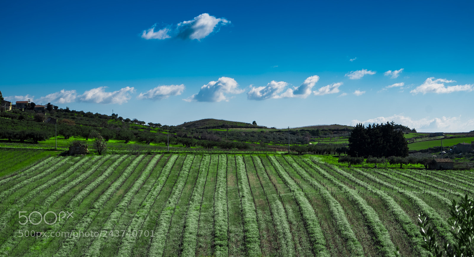 Fujifilm X-T20 sample photo. Salemi photography