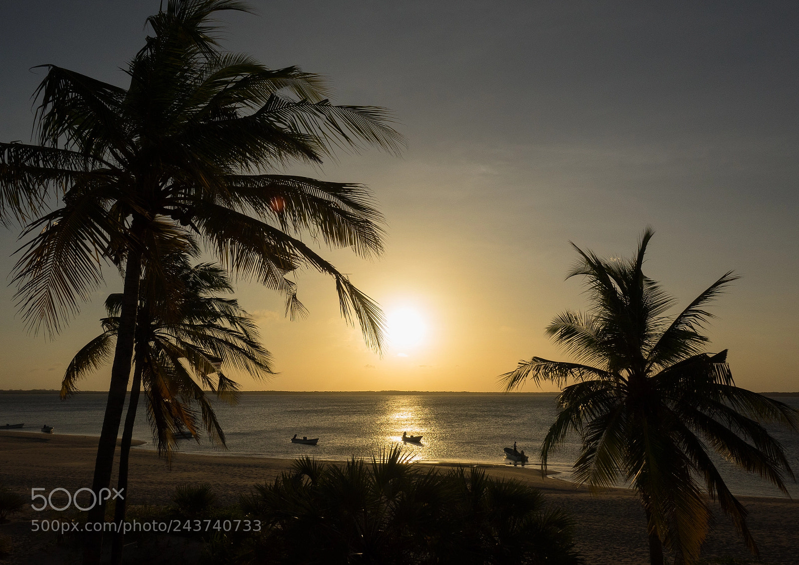 Sony Cyber-shot DSC-RX10 III sample photo. Sunset over kizingoni beach photography