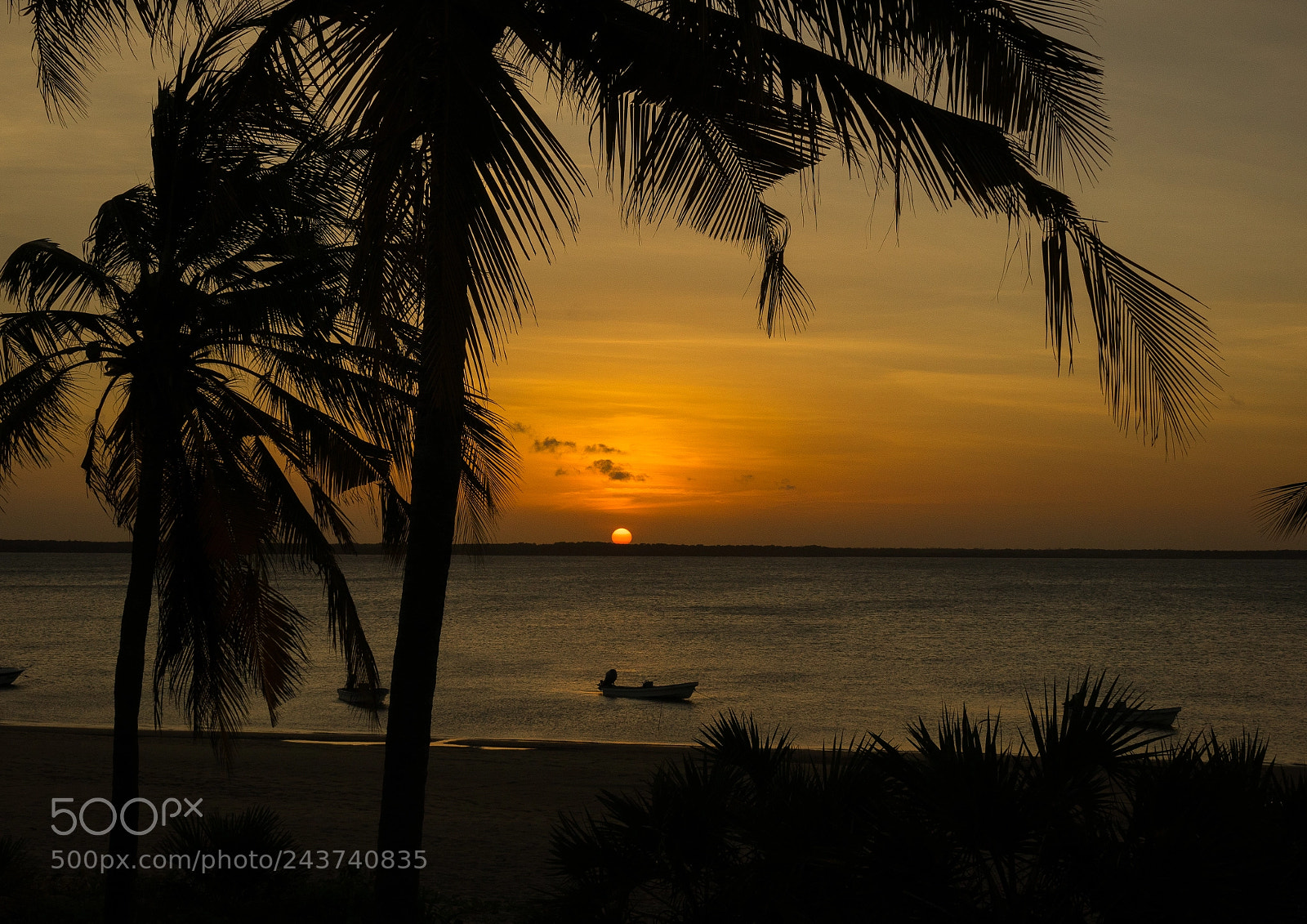 Sony Cyber-shot DSC-RX10 III sample photo. Sunset over kizingoni beach photography