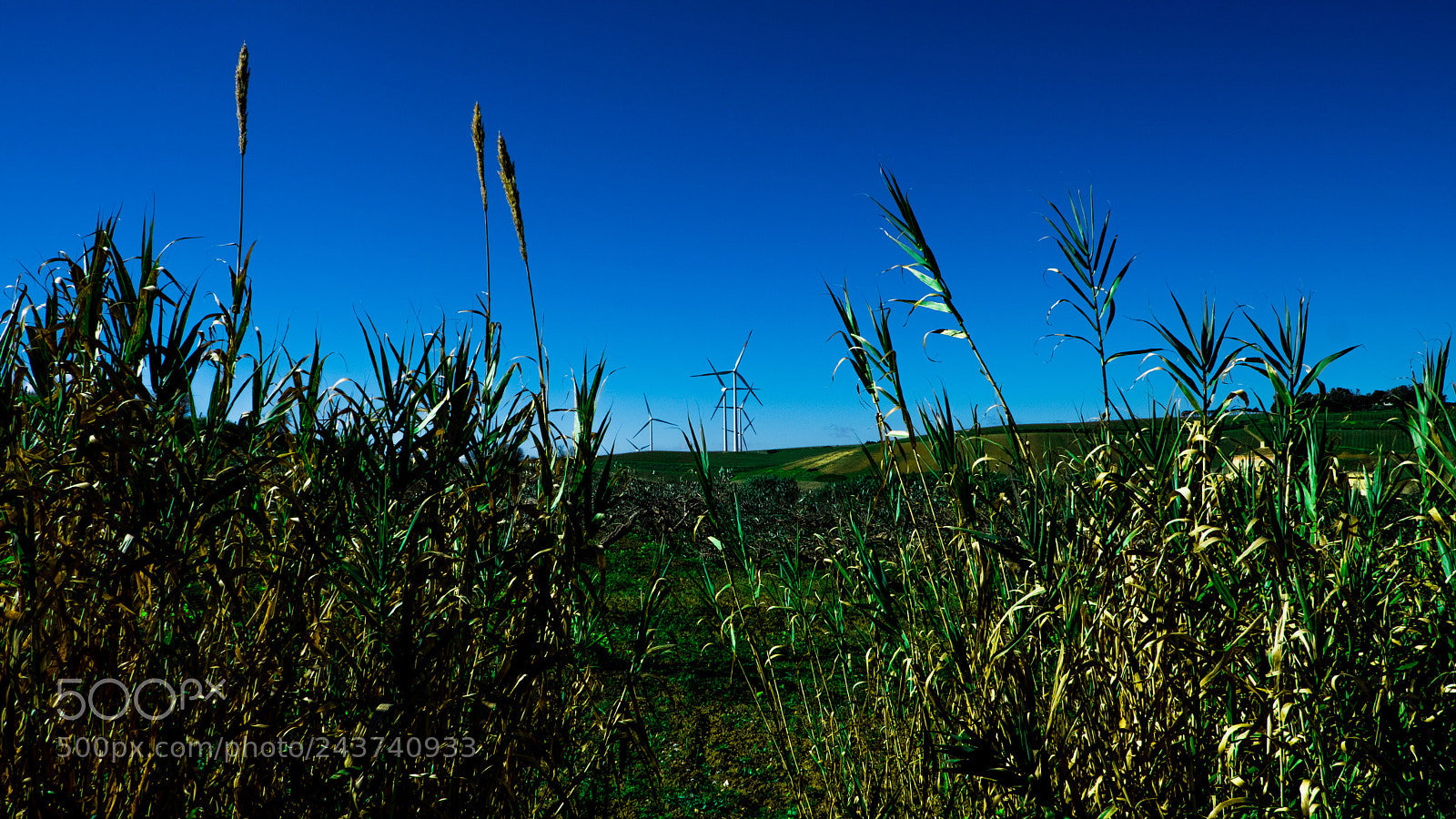 Fujifilm X-T20 sample photo. Untitled photography