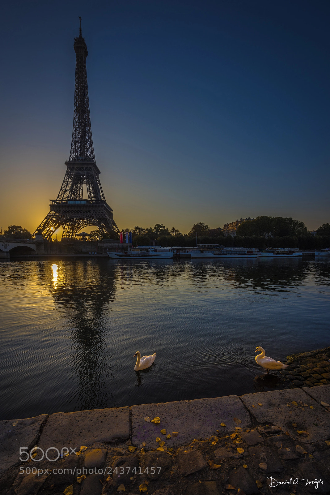Nikon D810 sample photo. In the shadow of photography