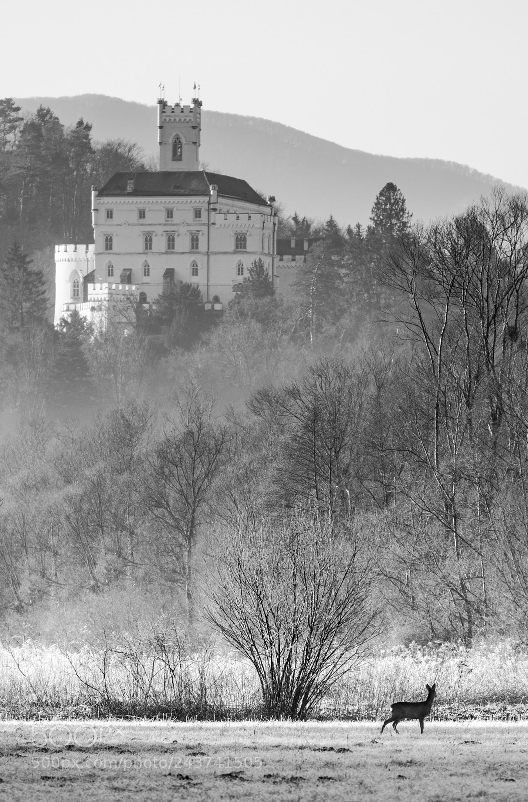Nikon D3200 sample photo. Return to innocence photography