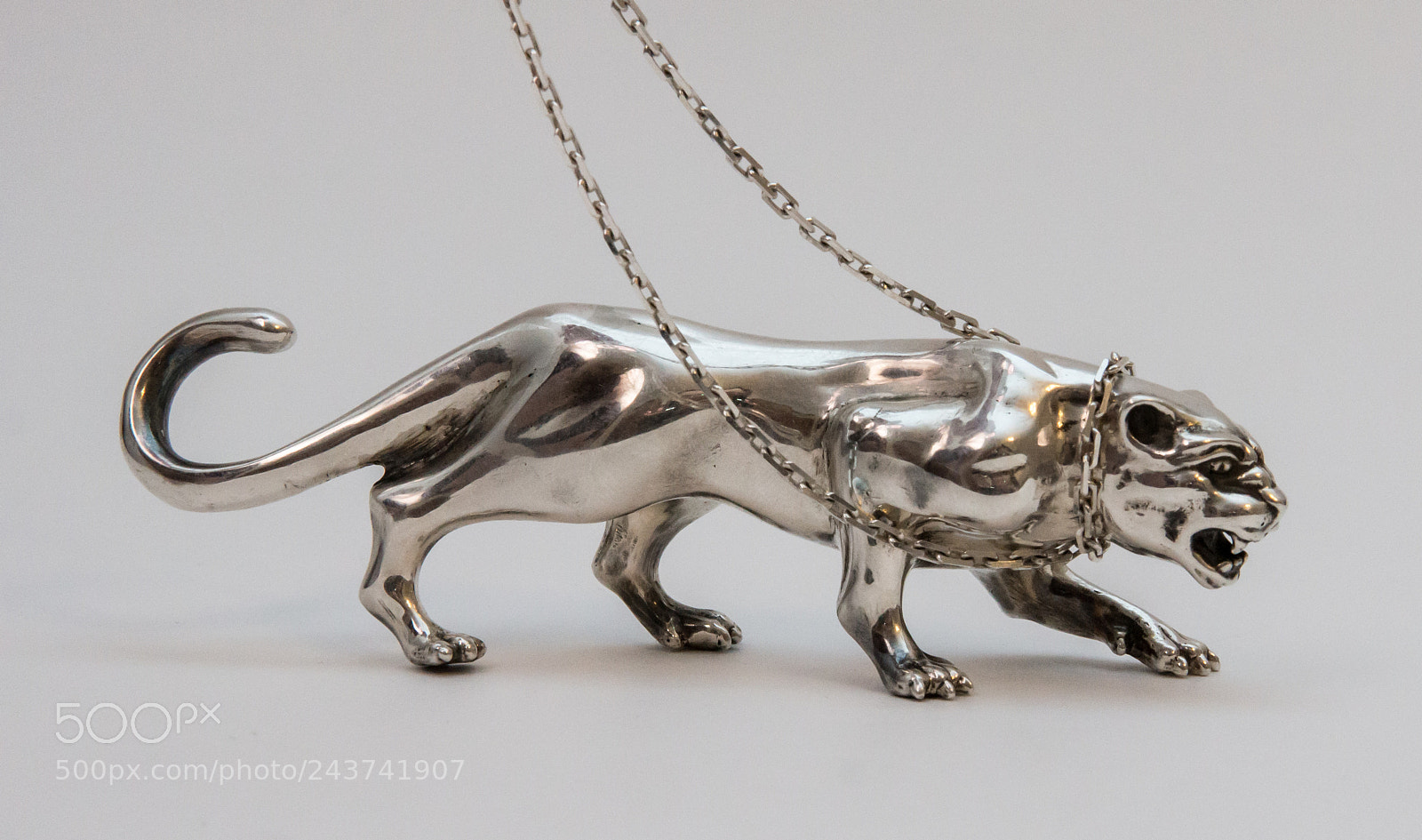 Sony Alpha NEX-7 sample photo. Silver panther photography
