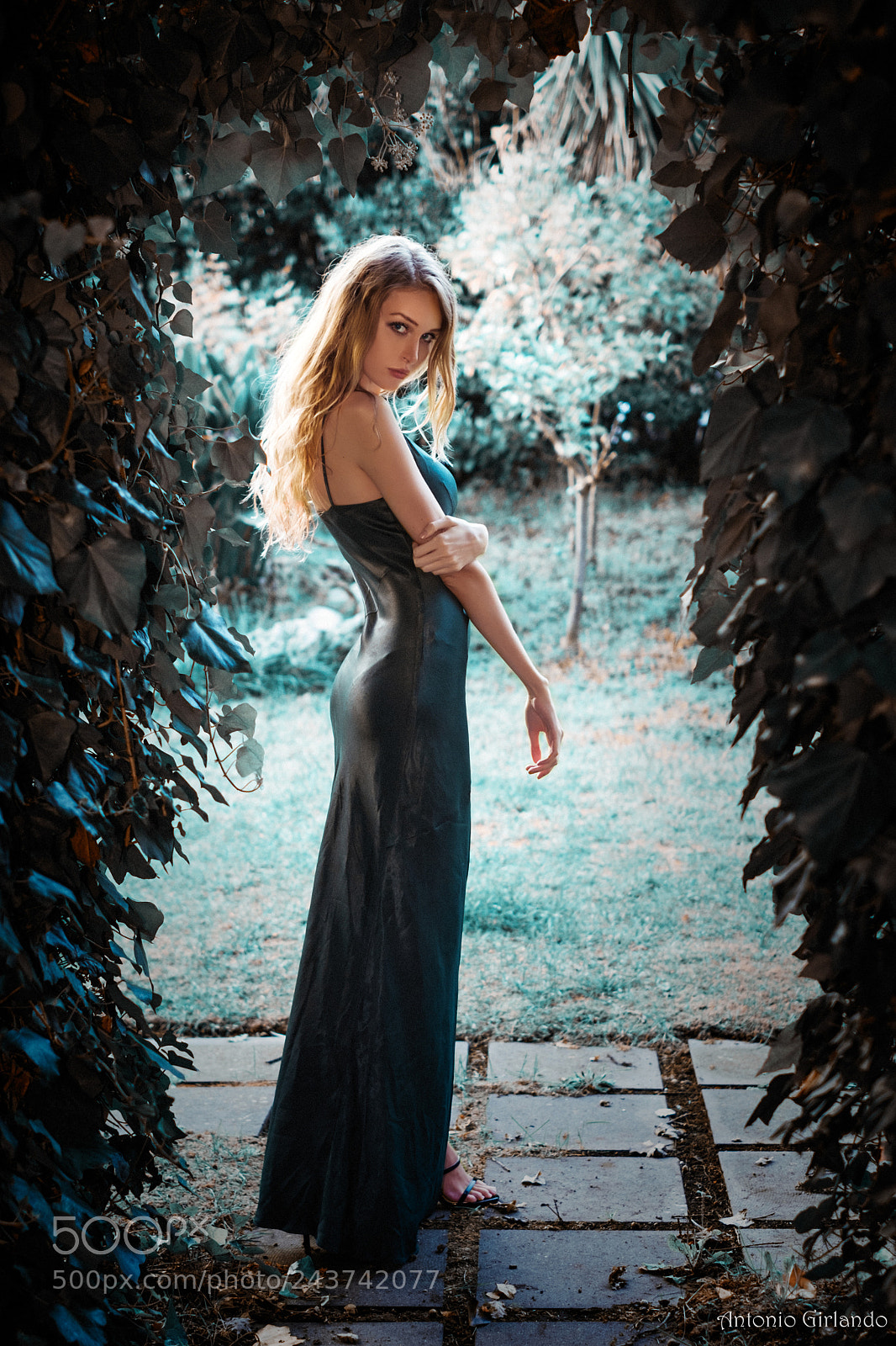 Fujifilm X-Pro2 sample photo. Garden beauty photography