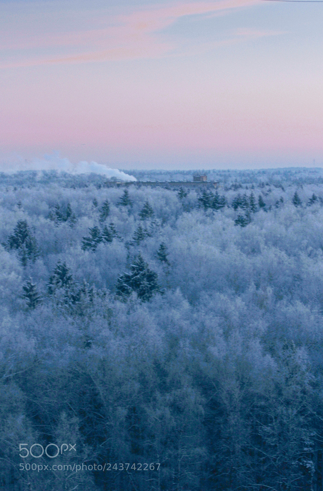 Canon EOS 60D sample photo. Sea of frost photography