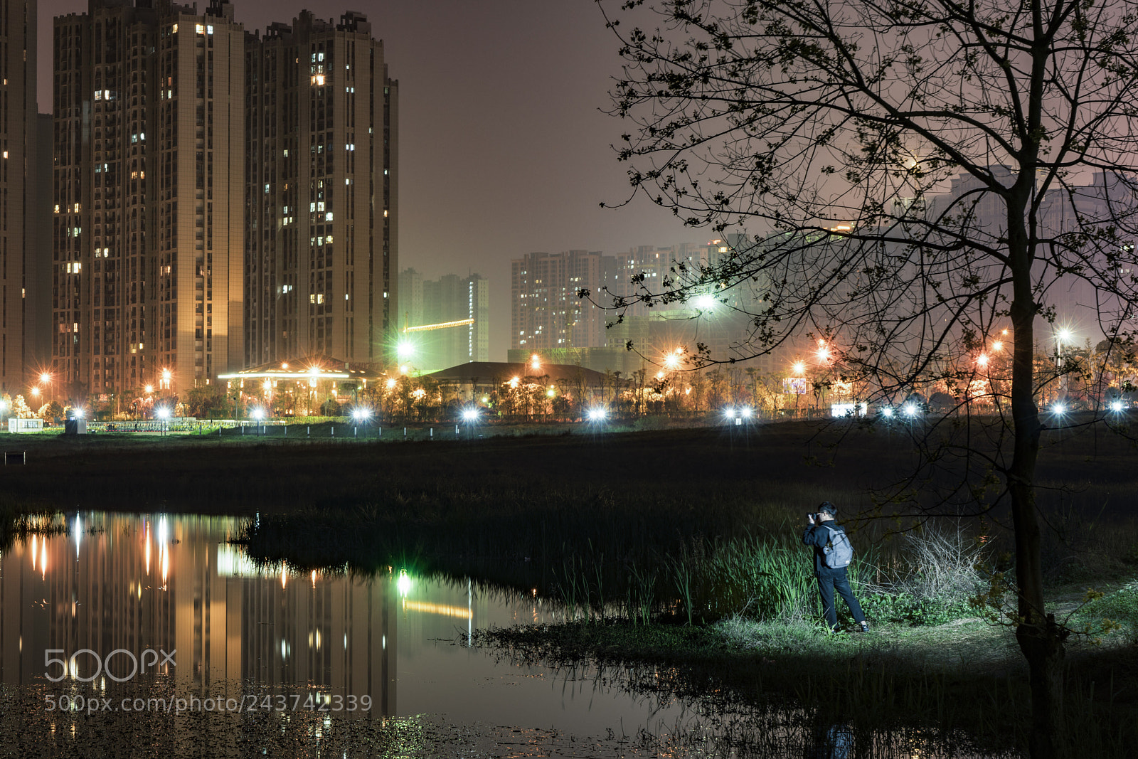 Sony a7R II sample photo. Untitled photography