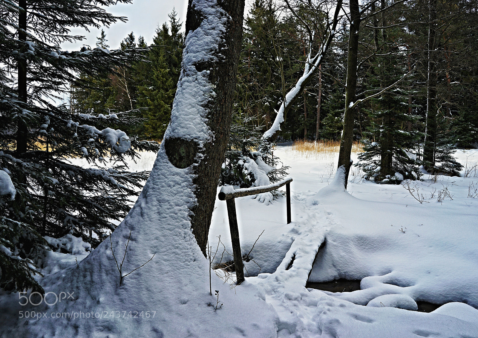 Sony a7 II sample photo. Bridge in winter photography