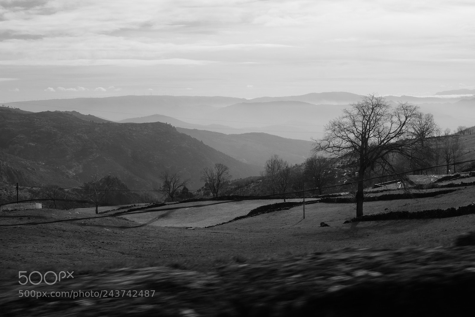Fujifilm X-T1 sample photo. Nariz do mundo... photography