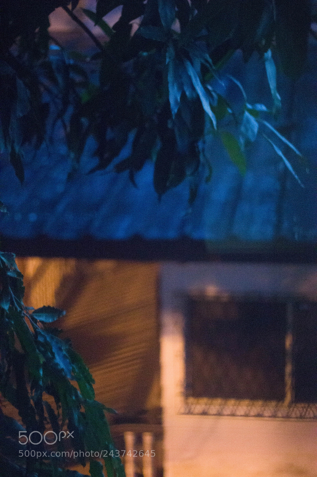 Canon EOS 60D sample photo. Ooh nighttime photography