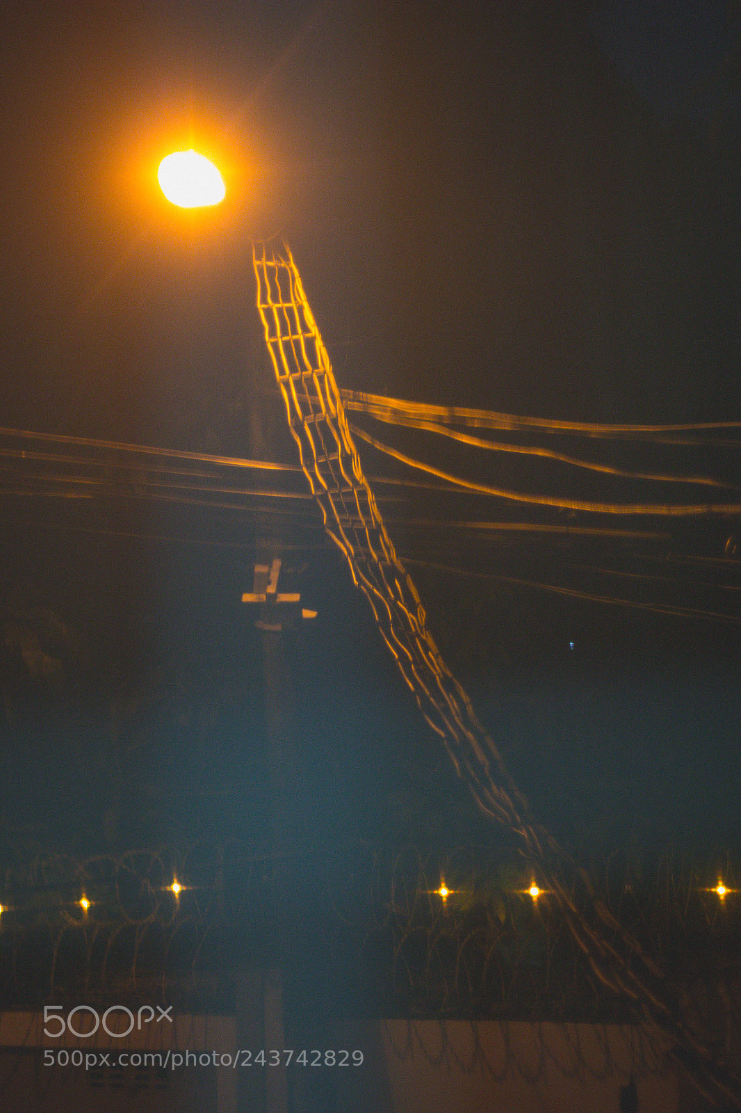 Canon EOS 60D sample photo. Is this artistic who photography