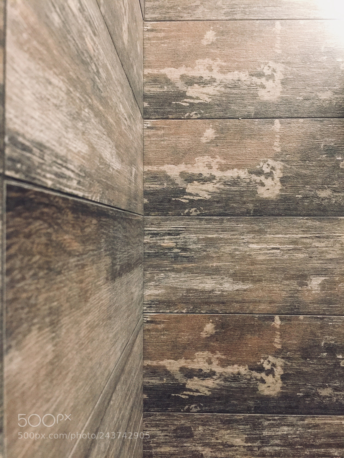 Apple iPhone 6 Plus sample photo. Wood photography