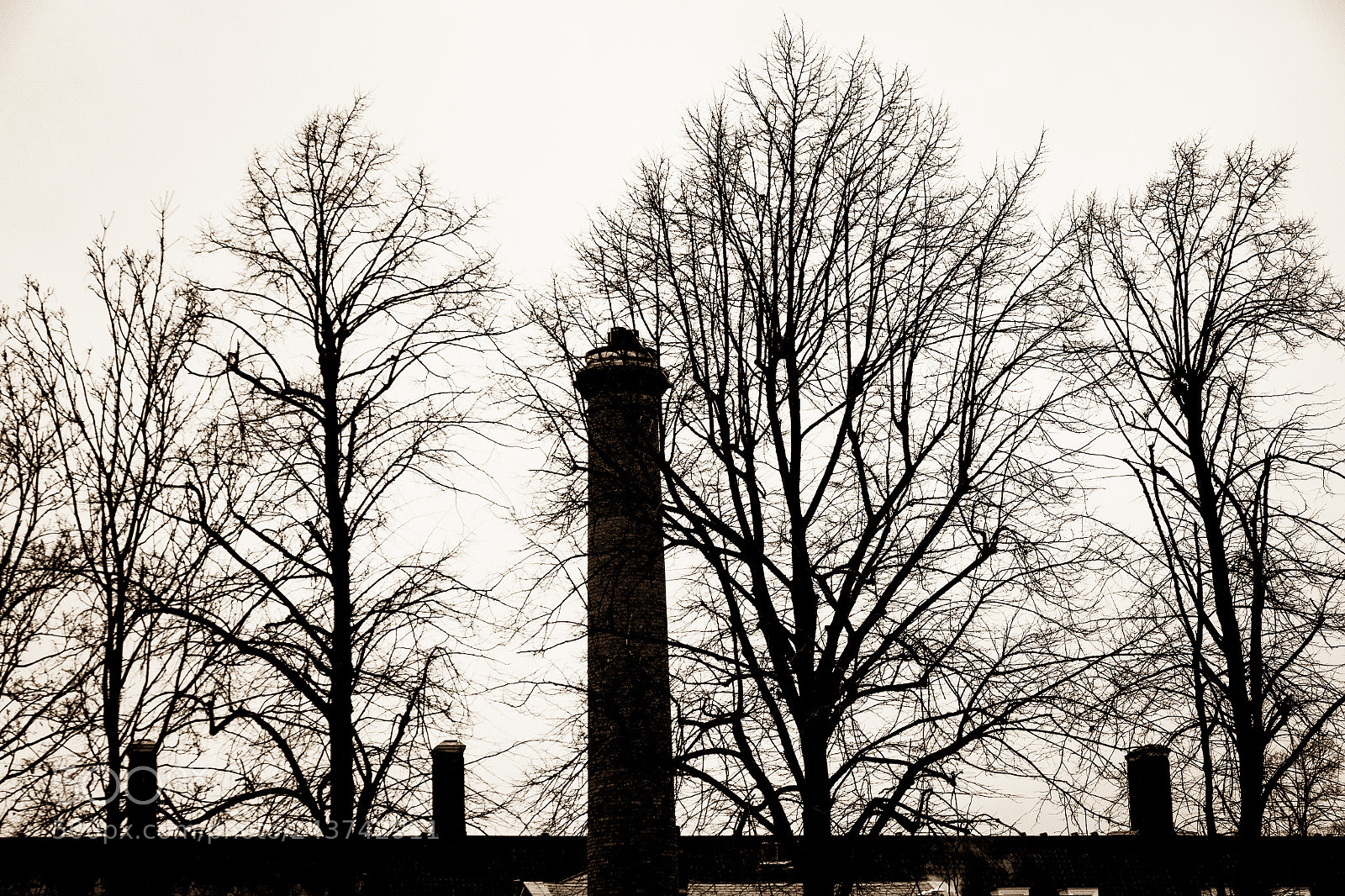 Canon EOS 7D Mark II sample photo. A cloudy day photography