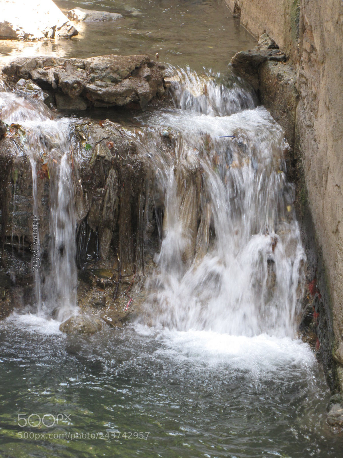 Canon PowerShot SX10 IS sample photo. Dar band photography