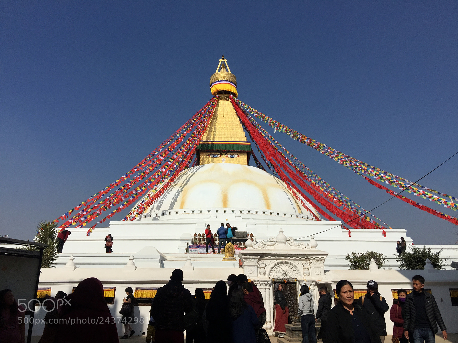 Apple iPhone 6 Plus sample photo. One of the largest photography